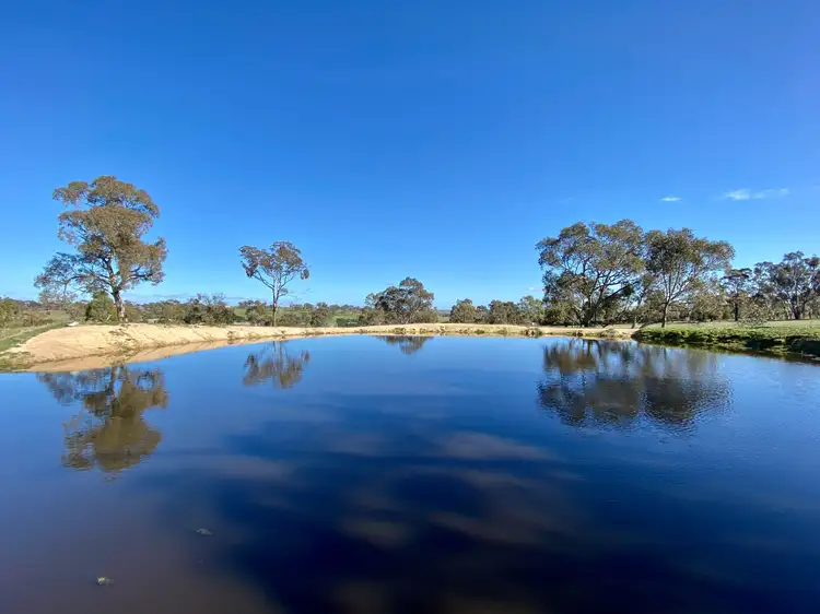 Third view of Homely rural property listing, Lot 121, 1488 Mutton Falls Road, O'connell NSW 2795