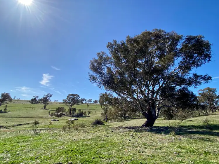 Main view of Homely rural property listing, Lot 132, 1488 Mutton Falls Road, O'connell NSW 2795