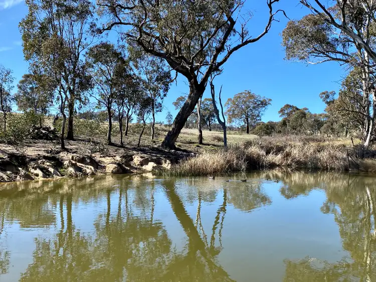 Sixth view of Homely rural property listing, Lot 133, 1488 Mutton Falls Road, O'connell NSW 2795