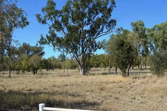 Fourth view of Homely rural property listing, Lot 8 Frames Lane, Blackall QLD 4472