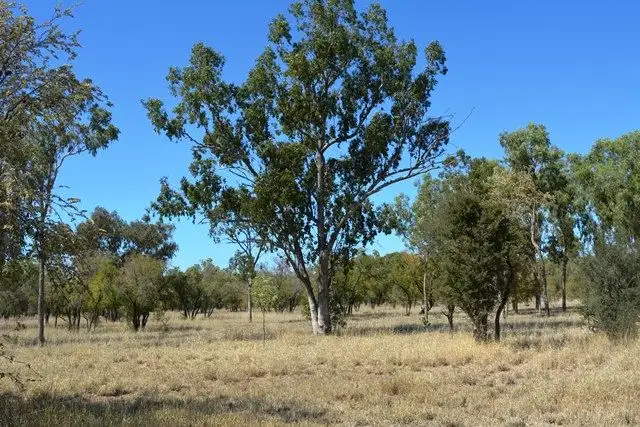 Fifth view of Homely rural property listing, Lot 8 Frames Lane, Blackall QLD 4472