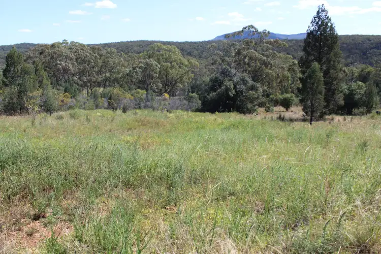 Fifth view of Homely rural property listing, 1633 Wandobah Road, Gunnedah NSW 2380