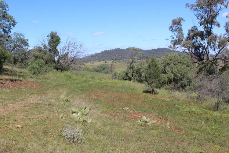 Sixth view of Homely rural property listing, 1633 Wandobah Road, Gunnedah NSW 2380
