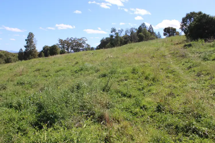 Seventh view of Homely rural property listing, 1633 Wandobah Road, Gunnedah NSW 2380