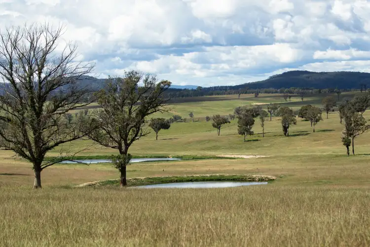 Fourth view of Homely rural property listing, 13566 Oxley Highway, Walcha NSW 2354