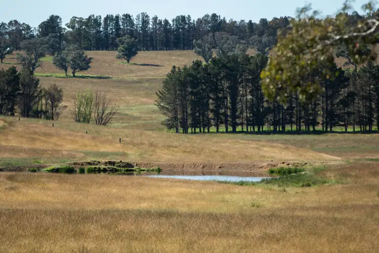 Seventh view of Homely rural property listing, 13566 Oxley Highway, Walcha NSW 2354