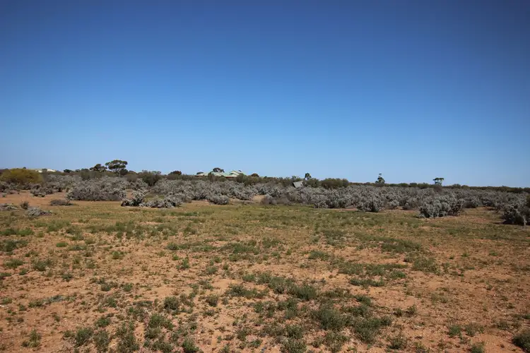 Main view of Homely rural property listing, 12 Cemetery Road, Morgan SA 5320