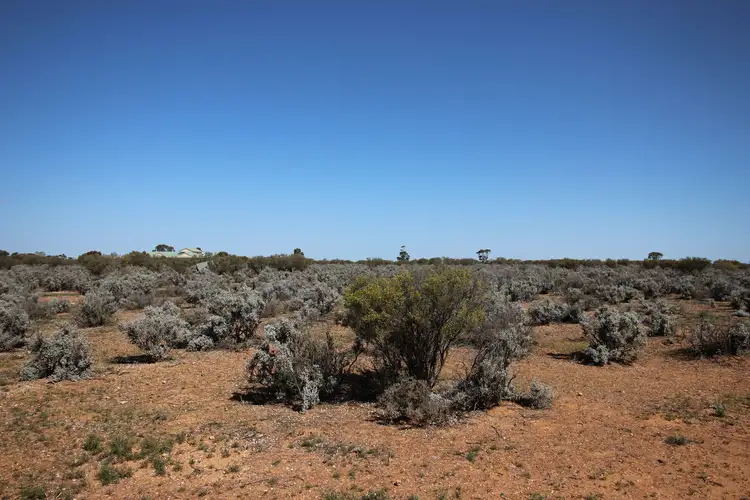 Second view of Homely rural property listing, 12 Cemetery Road, Morgan SA 5320