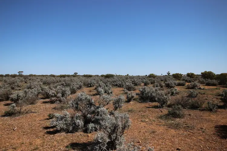 Third view of Homely rural property listing, 12 Cemetery Road, Morgan SA 5320