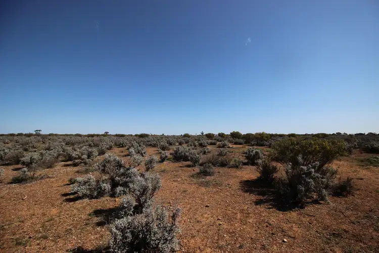Fourth view of Homely rural property listing, 12 Cemetery Road, Morgan SA 5320