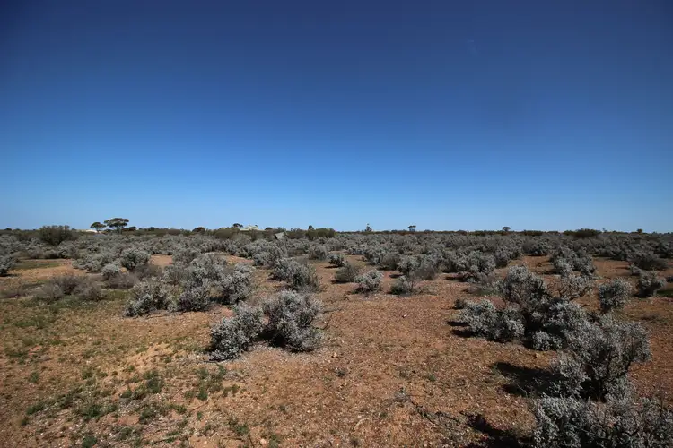Fifth view of Homely rural property listing, 12 Cemetery Road, Morgan SA 5320