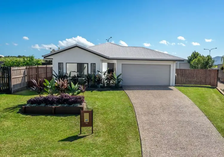 Second view of Homely house listing, 16 Gadd Close, Gordonvale QLD 4865