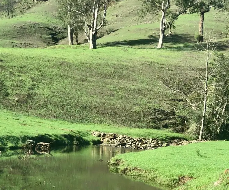 Main view of Homely rural property listing, 200 Coxs Creek Road, Wallaringa via, Dungog NSW 2420