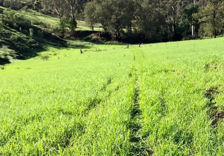 Third view of Homely rural property listing, 200 Coxs Creek Road, Wallaringa via, Dungog NSW 2420