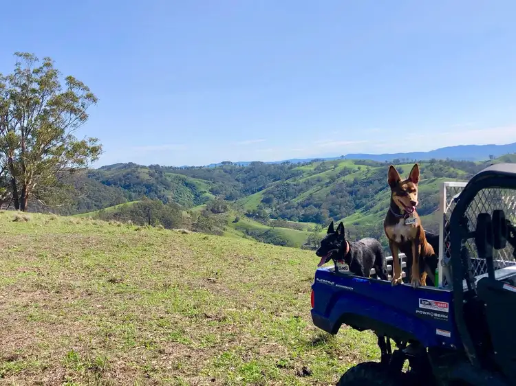 Sixth view of Homely rural property listing, 200 Coxs Creek Road, Wallaringa via, Dungog NSW 2420