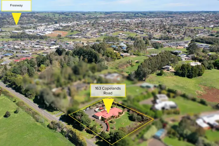 Main view of Homely house listing, 163 Copelands Road, Warragul VIC 3820