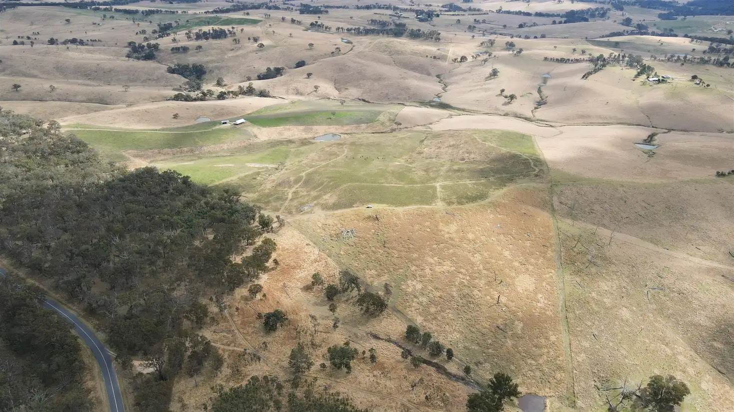 Main view of Homely rural property listing, 10900 Bruxner Highway, Tenterfield NSW 2372