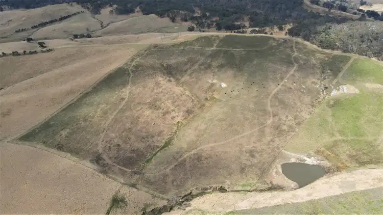 Second view of Homely rural property listing, 10900 Bruxner Highway, Tenterfield NSW 2372