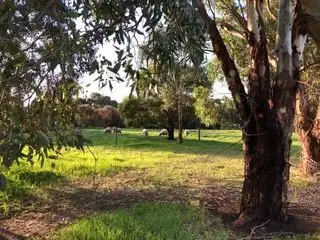 Seventh view of Homely land listing, 7 Riverside Drive, Second Valley SA 5204