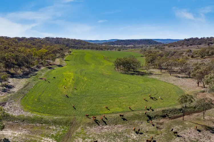 Fifth view of Homely rural property listing, 0 Hudson Road, Southbrook QLD 4363