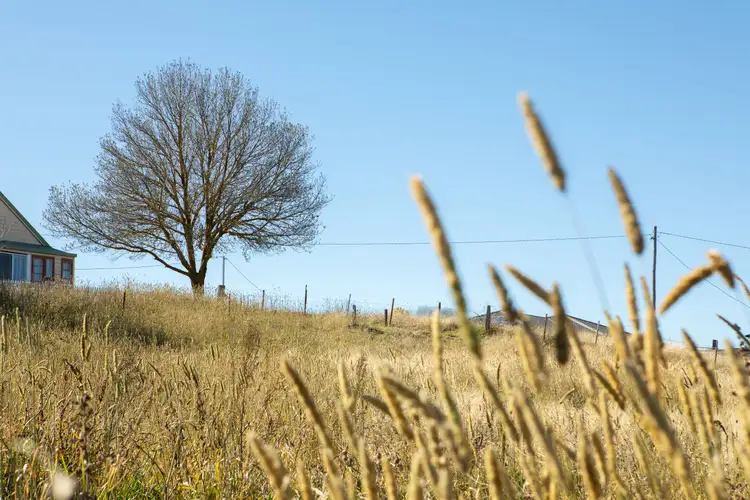 Fifth view of Homely land listing, 106 Sandon Street, Guyra NSW 2365