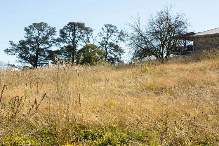 Sixth view of Homely land listing, 106 Sandon Street, Guyra NSW 2365