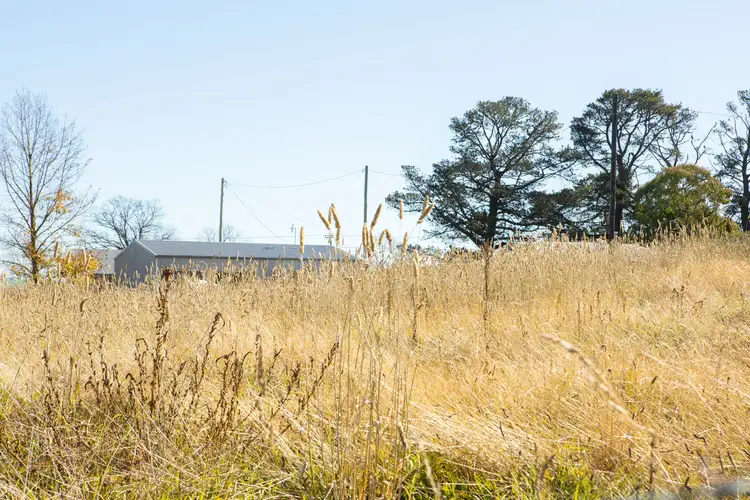 Seventh view of Homely land listing, 106 Sandon Street, Guyra NSW 2365