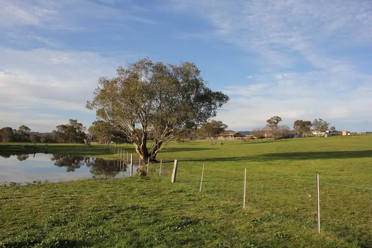 Fifth view of Homely rural property listing, 219 Mersing Road, Glanmire NSW 2795