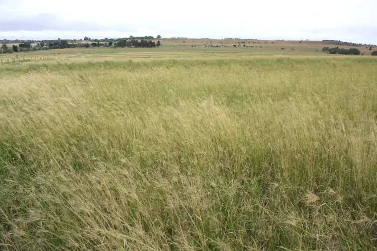 Third view of Homely rural property listing, 2415 Proston Boondooma Road, Brigooda QLD 4613