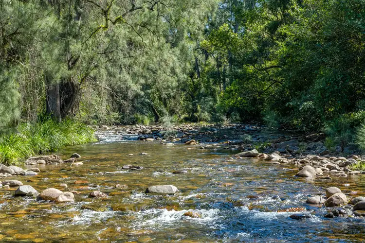 Third view of Homely rural property listing, 1566 Chichester Road, Chichester Via, Dungog NSW 2420