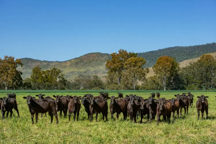 Third view of Homely rural property listing, 1179 Running Creek Road, Running Creek QLD 4287