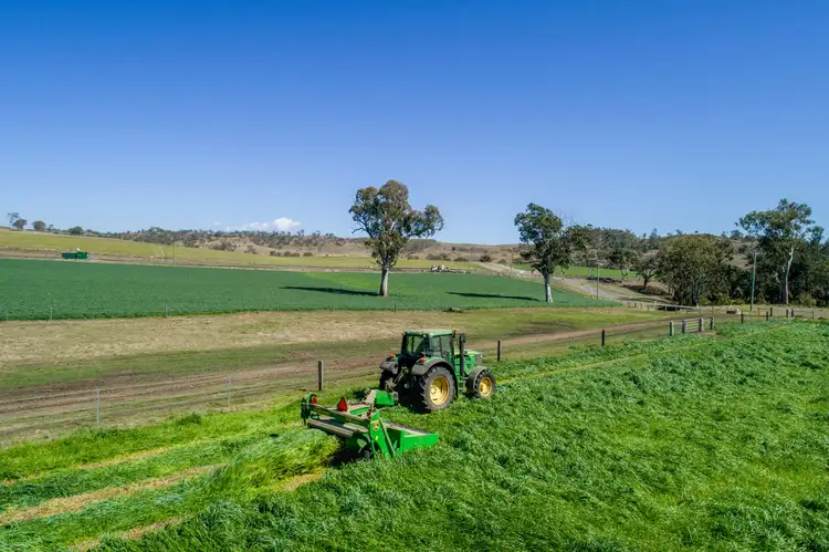 Seventh view of Homely rural property listing, 1179 Running Creek Road, Running Creek QLD 4287