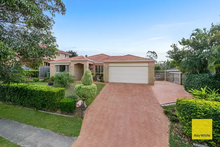 Main view of Homely house listing, 12 Koala Place, Capalaba QLD 4157