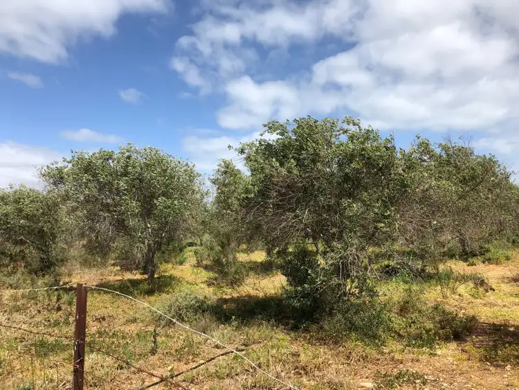 Seventh view of Homely land listing, 111 Flinders Road, Waterloo Corner SA 5110