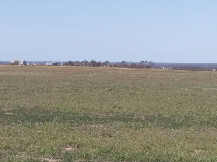 Main view of Homely rural property listing, Pozzi Farm Swan Road and Esperance Coolgardie Highway, Salmon Gums WA 6445