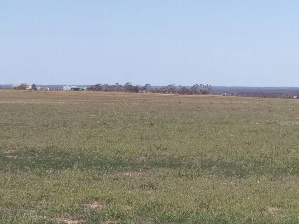 Main view of Homely rural property listing, Pozzi Farm Swan Road and Esperance Coolgardie Highway, Salmon Gums WA 6445