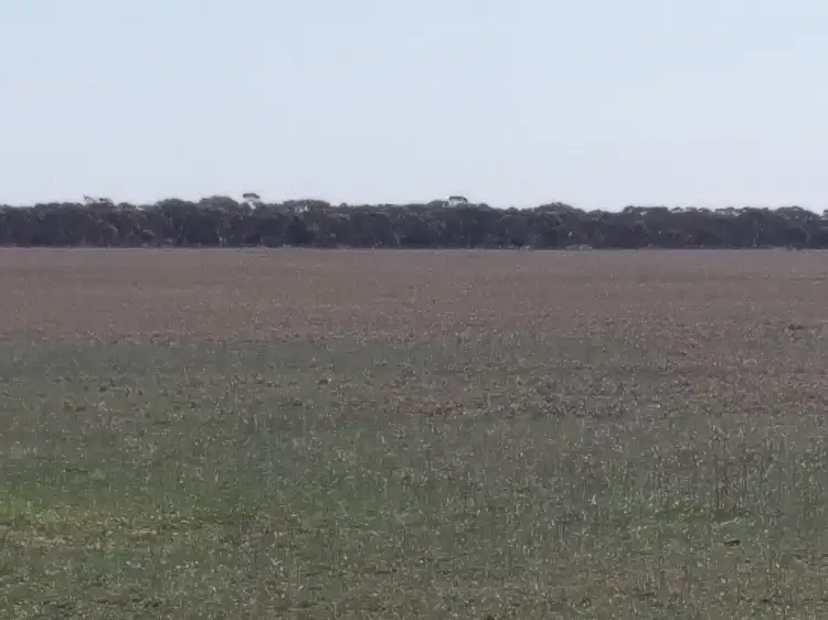 Second view of Homely rural property listing, Pozzi Farm Swan Road and Esperance Coolgardie Highway, Salmon Gums WA 6445