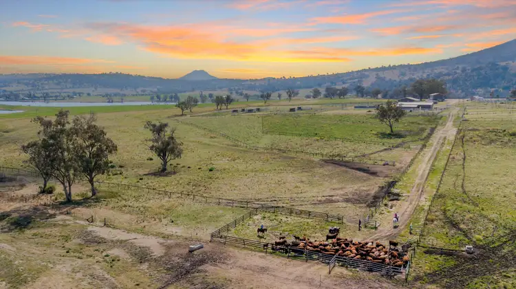 Sixth view of Homely rural property listing, 795 Lowes Creek Road, Quirindi NSW 2343