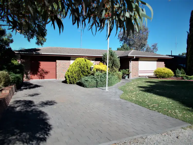 19 Creecoona Terrace, Bordertown SA 5268