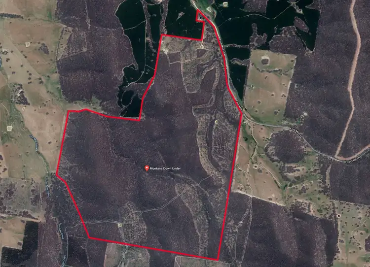 Main view of Homely rural property listing, 1446 Four Mile Lane, Little Billabong NSW 2644