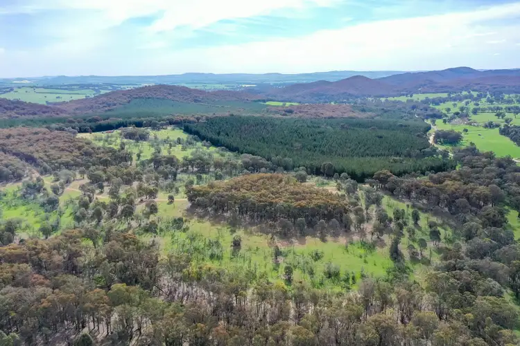 Seventh view of Homely rural property listing, 1446 Four Mile Lane, Little Billabong NSW 2644