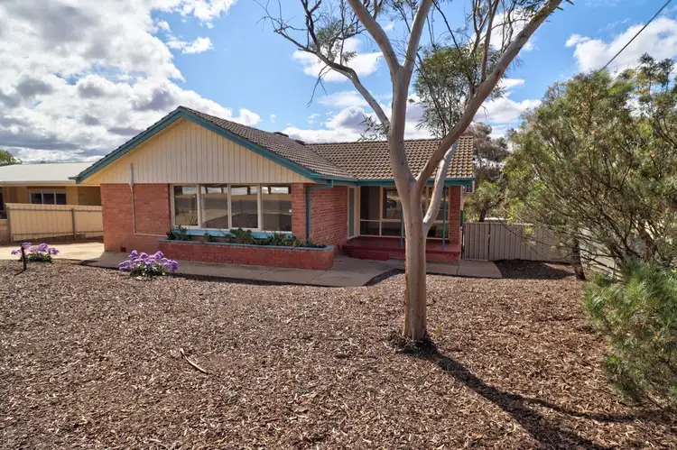 62 Drabsch Street, Loxton SA 5333