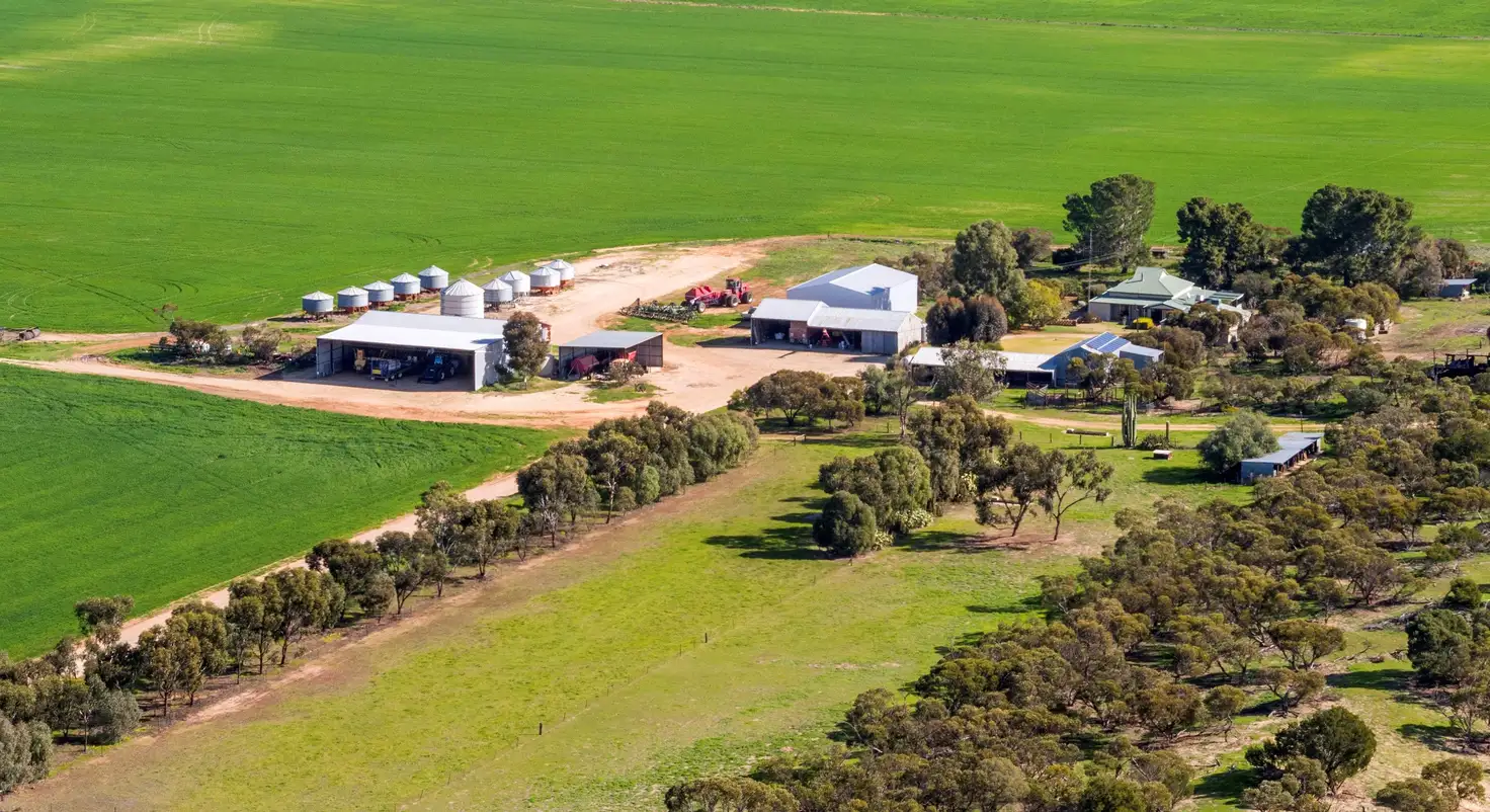 Main view of Homely rural property listing, 'Homestead' 11148 Mallee Highway, Parilla SA 5303