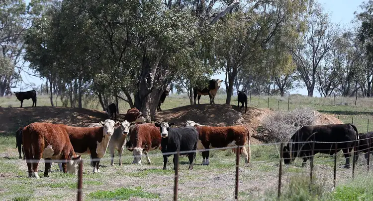Sixth view of Homely rural property listing, 4482 Oxley Highway, Gunnedah NSW 2380
