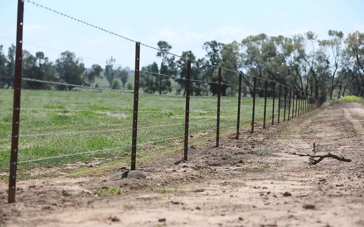 Seventh view of Homely rural property listing, 4482 Oxley Highway, Gunnedah NSW 2380