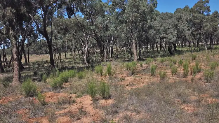 Third view of Homely rural property listing, 312 QUAKER TOMMY Road, Coonabarabran NSW 2357