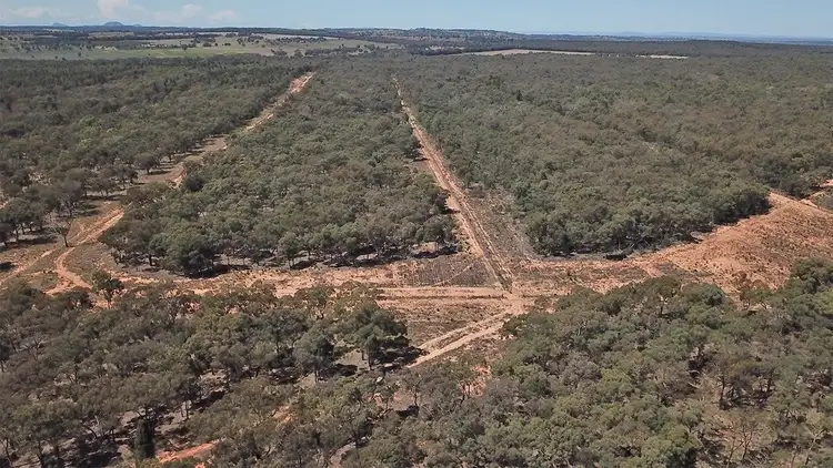 Fifth view of Homely rural property listing, 312 QUAKER TOMMY Road, Coonabarabran NSW 2357
