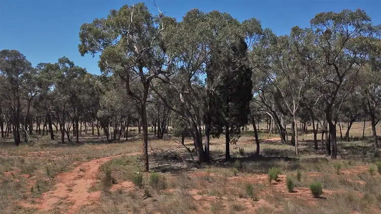 Sixth view of Homely rural property listing, 312 QUAKER TOMMY Road, Coonabarabran NSW 2357