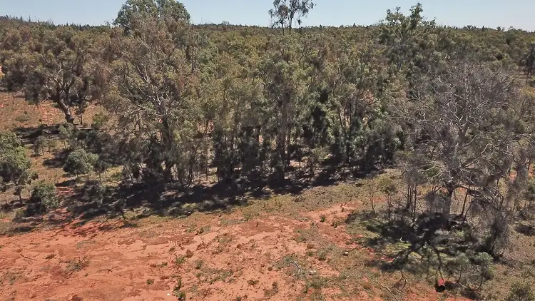Fourth view of Homely rural property listing, 390 QUAKER TOMMY Road, Coonabarabran NSW 2357