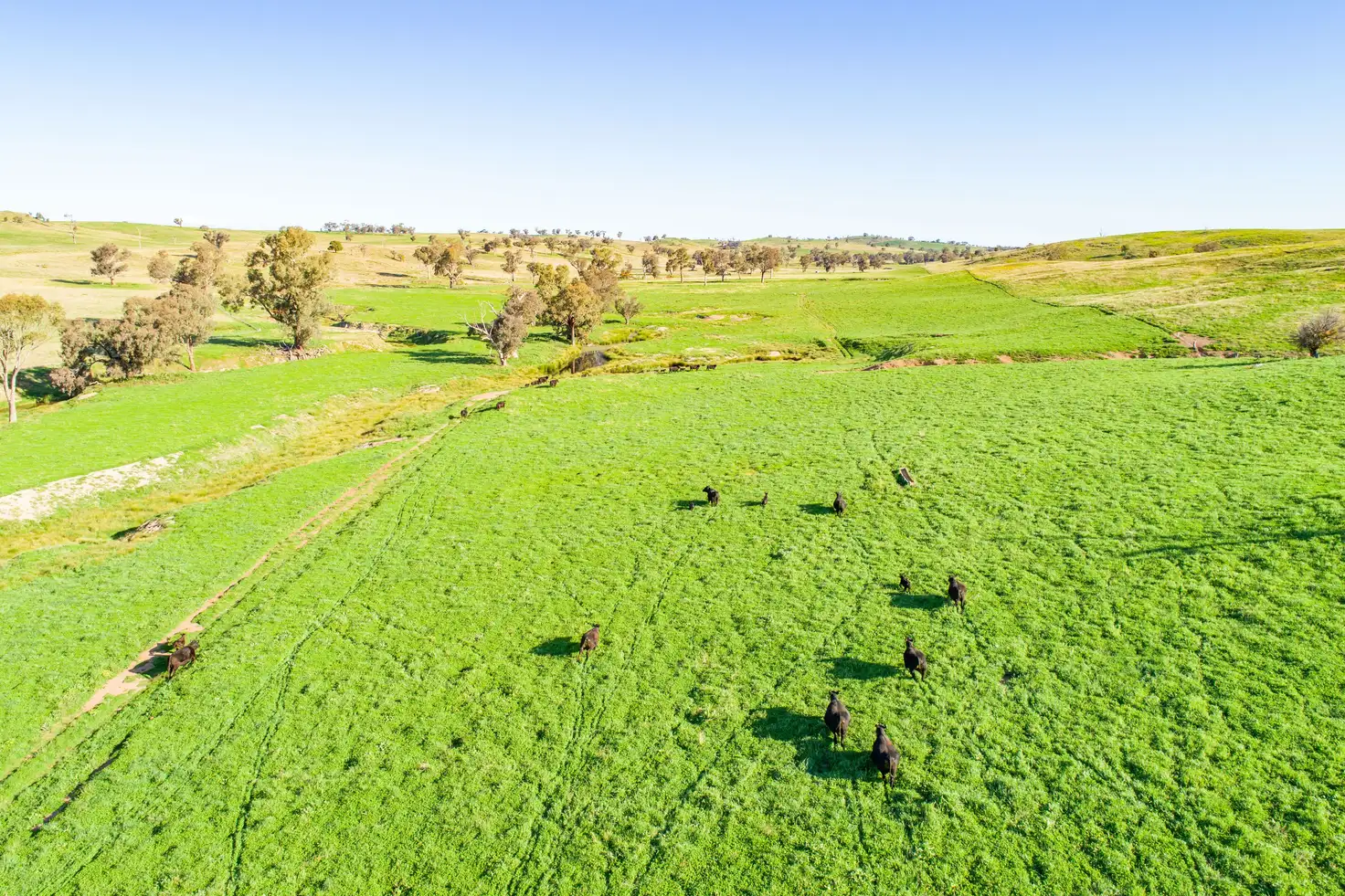 Main view of Homely rural property listing, 395 Old Yullundry Road, Cumnock NSW 2867